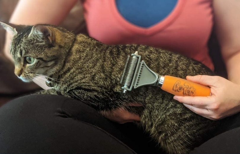 GoPets Dematting cat Comb_Amazon