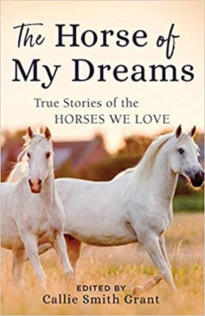 Horse of My Dreams – Callie Smith Grant