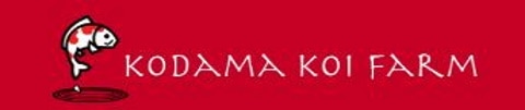 Kodama koi farm logo