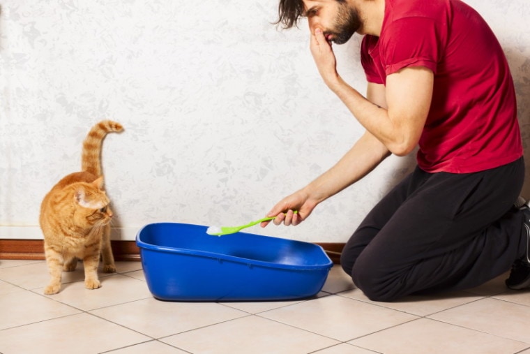 cat litter box cleaning