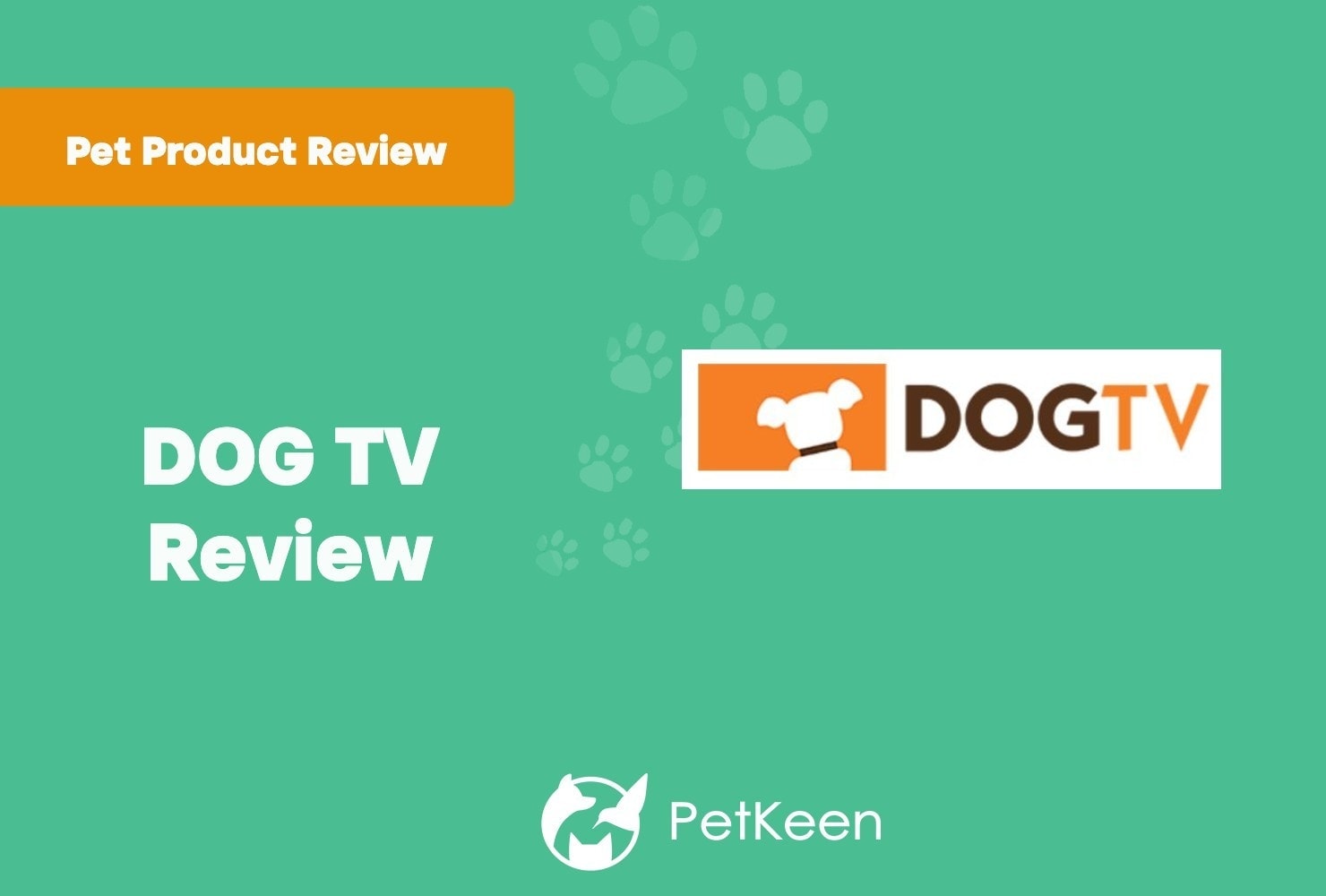 Dog Tv Review 1 