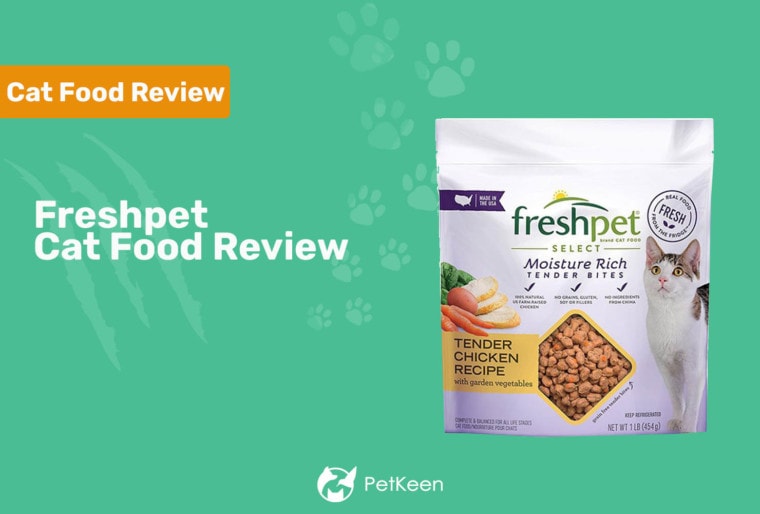 freshpet cat food review header