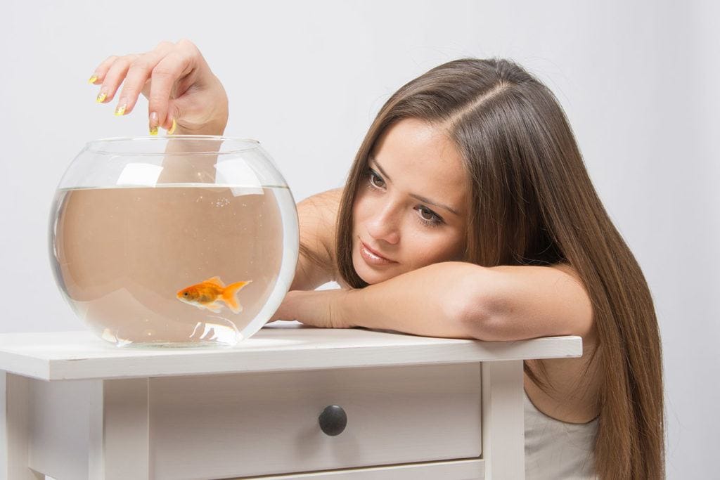 girl feeding goldfish