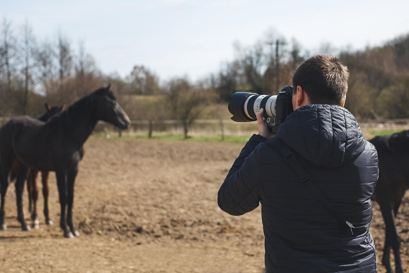 horse photographer