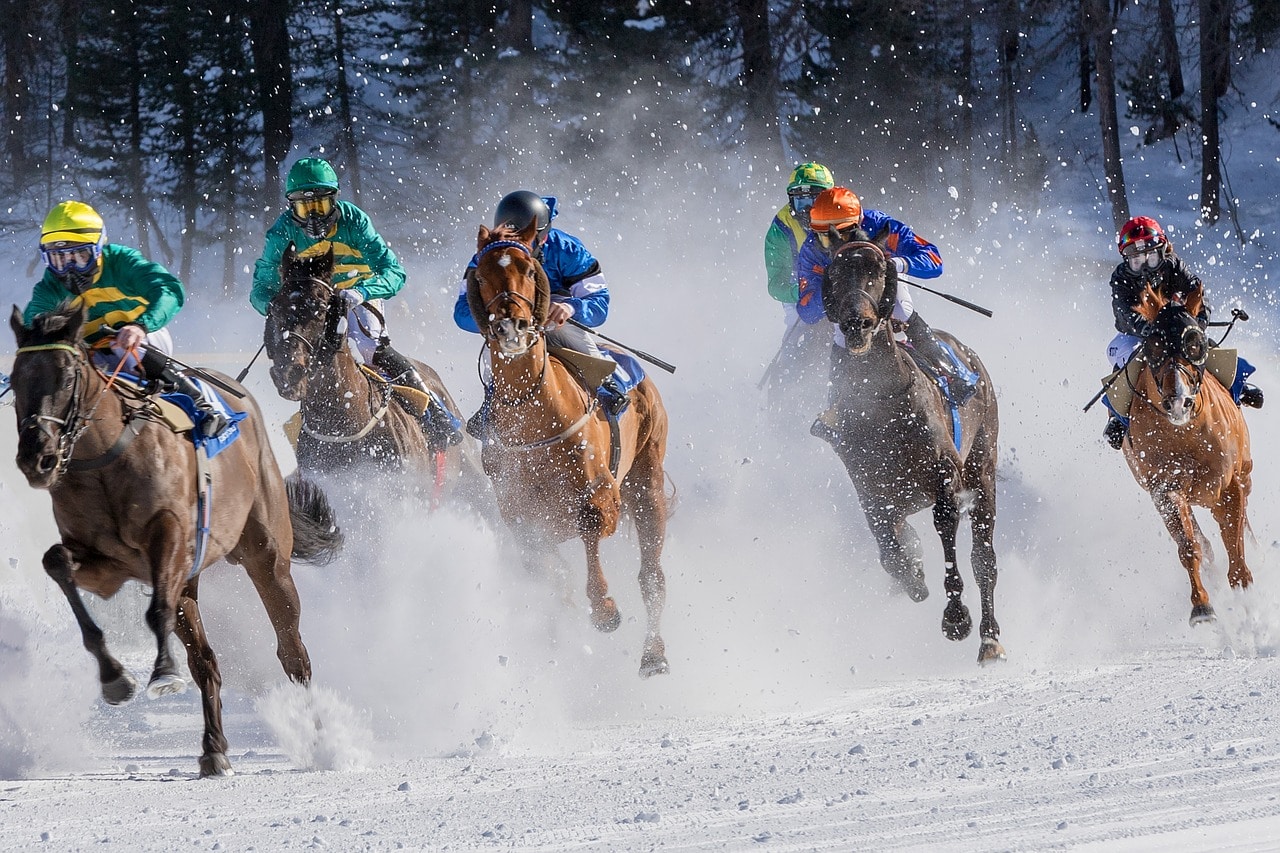 horse racing in the snow