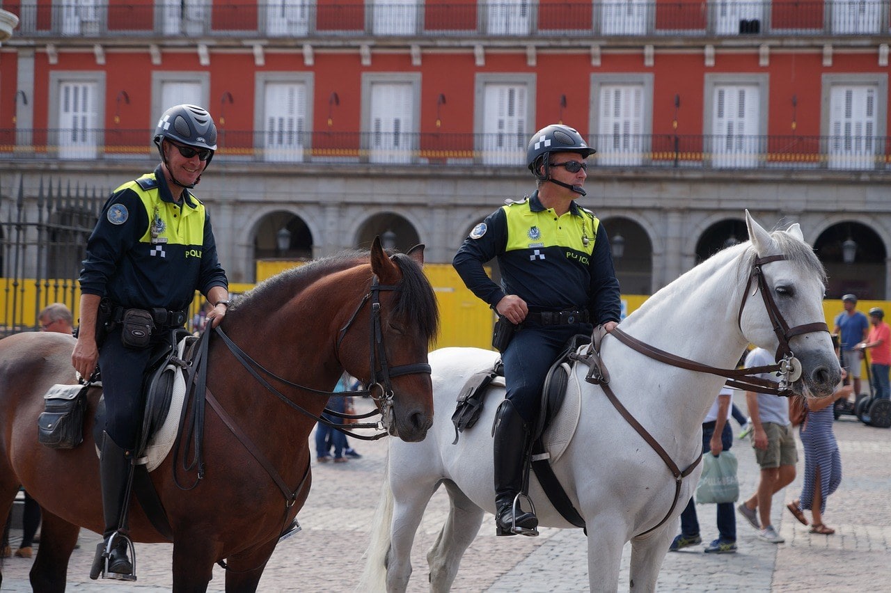mounted policemen