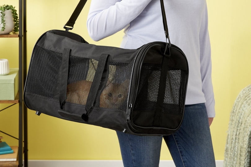 A lady holding a cat in a carrier