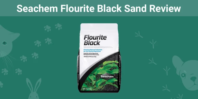 Seachem Flourite Black Sand - Featured Image