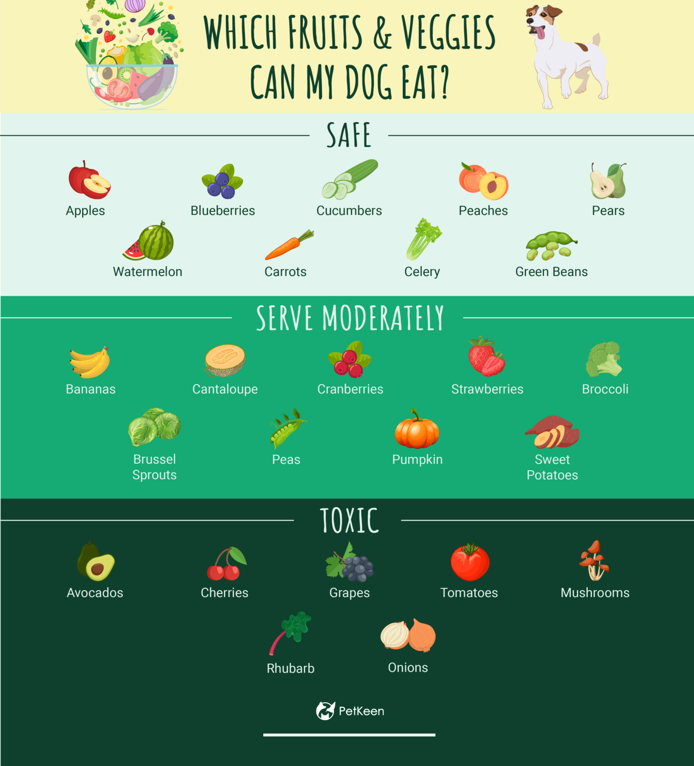 Printable List Of Fruits And Vegetables Dogs Can Eat