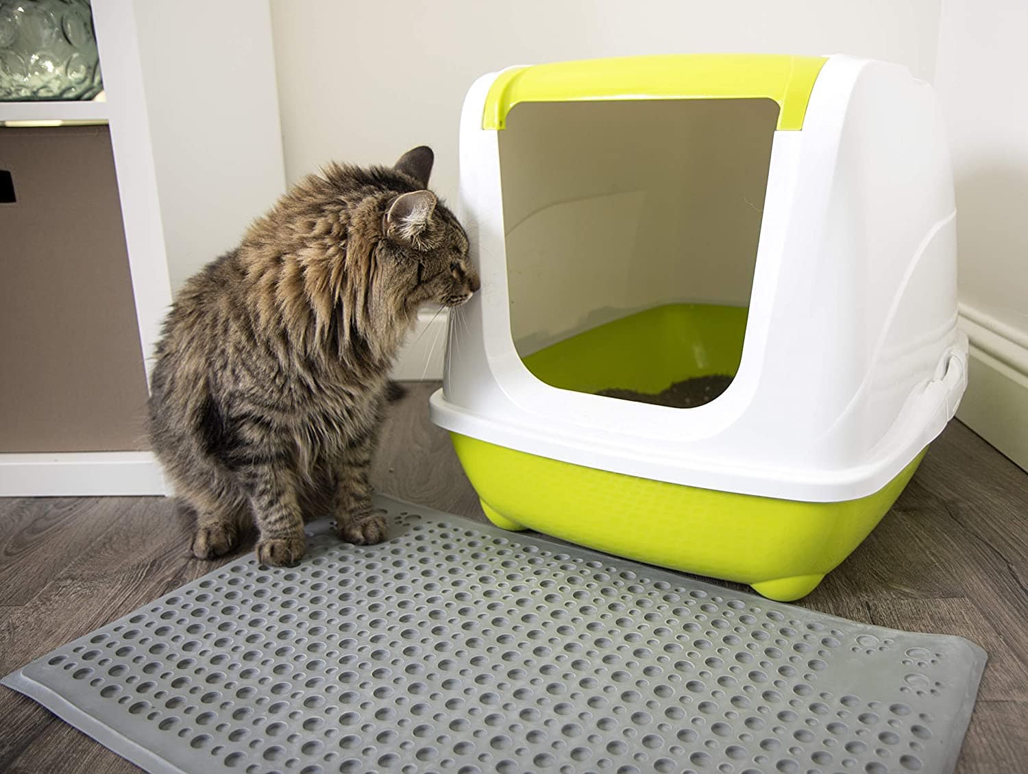 Yitahome  17 Inch Xl Covered Hooded Extra Large Enclosed Cat Litter Box  With Mat And Litter Scoop Odorless Anti Splashing Blue