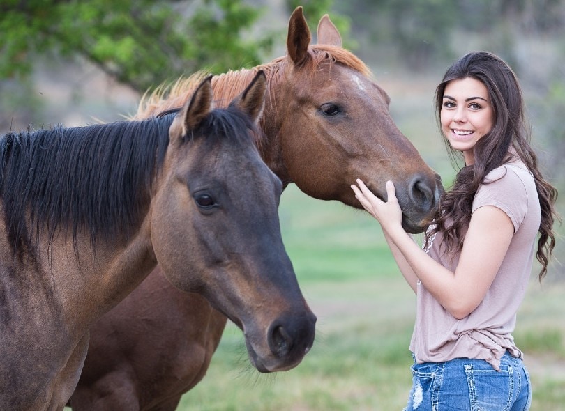 horses with their owner