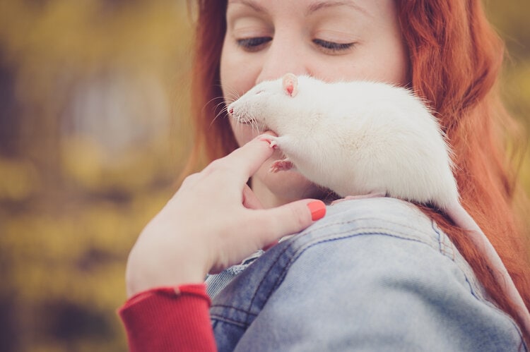 happy white rat on shoulder