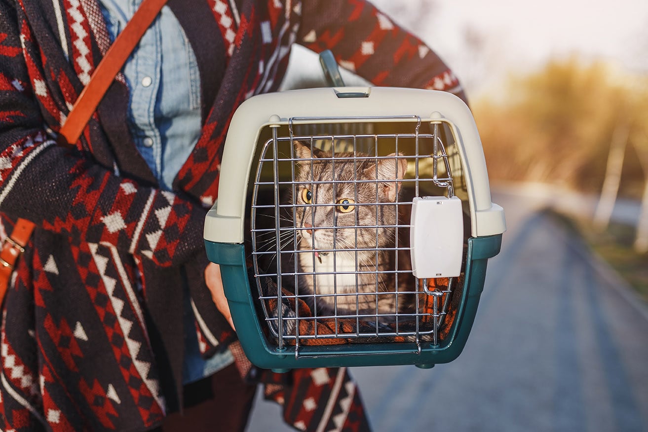 woman carrying cat in a carrier