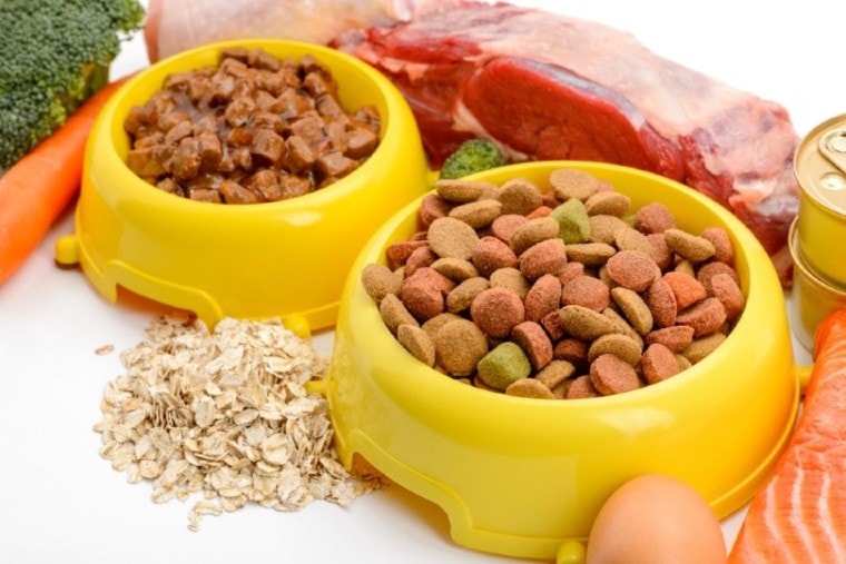 Alimento húmedo y seco para mascotas a base de ingredientes naturales