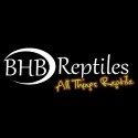 BHB Reptiles