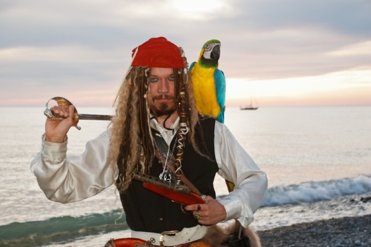 pirate with a parrot on his shoulder