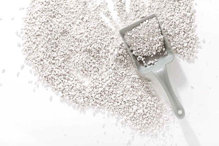 poop sand with scoop_IriGri_Shutterstock