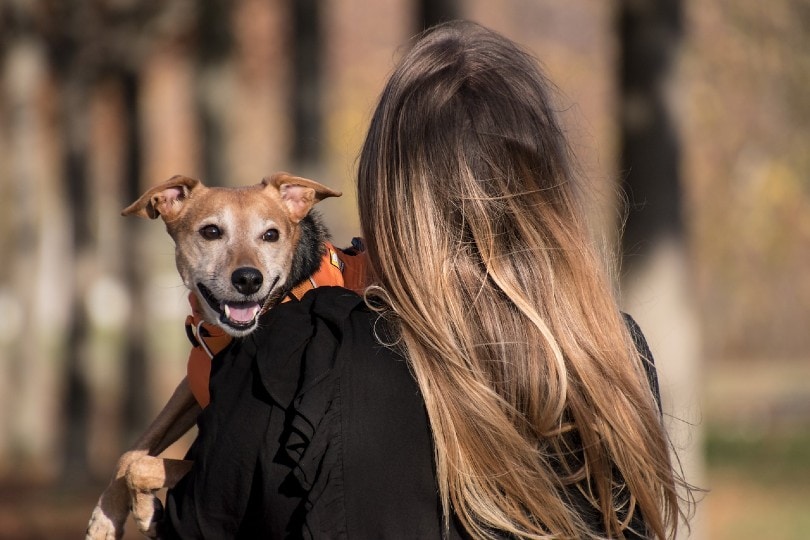 woman carrying smiling dog