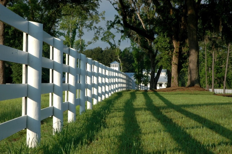 Horse fence painted white