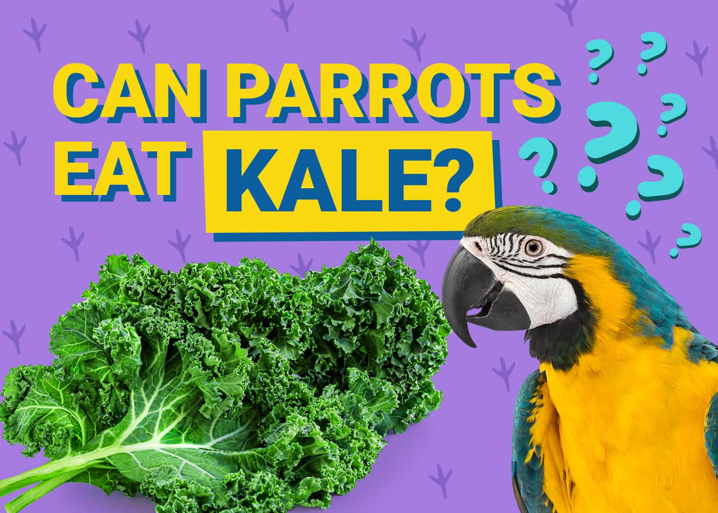 Can Parrots Eat Kale? Understanding the Health Benefits and Risks