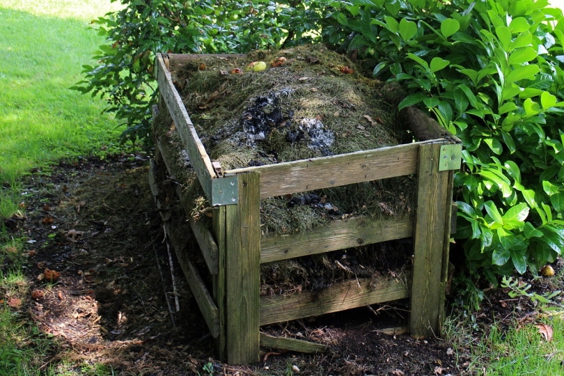 compost box