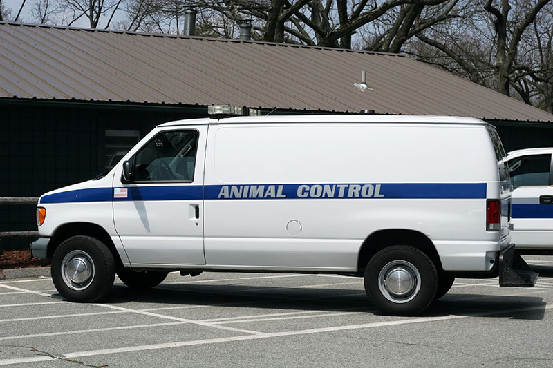 animal control truck