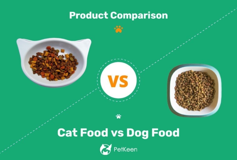Cat food vs dog food - Ft