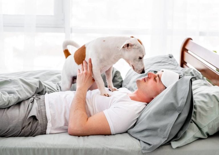 5 Ways to Stop Your Dog from Waking You Up Early | Pet Keen