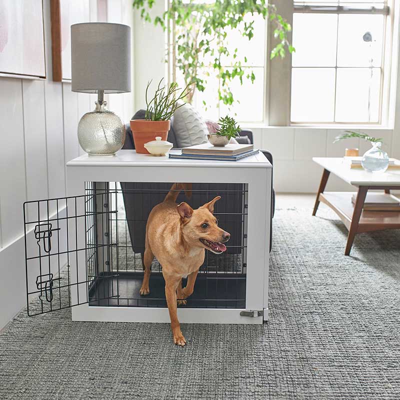 Frisco Double Door Furniture Style Dog Crate, White