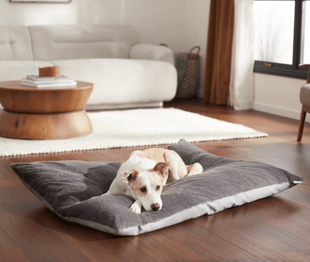 11 Best Black Friday Dog Bed Deals & Sales 2023 (Save Up to 50) Pet Keen
