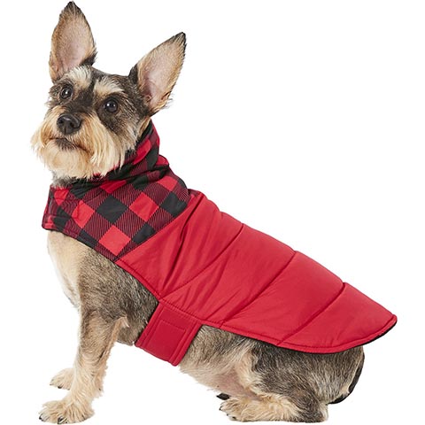 Frisco Insulated Dog Coat