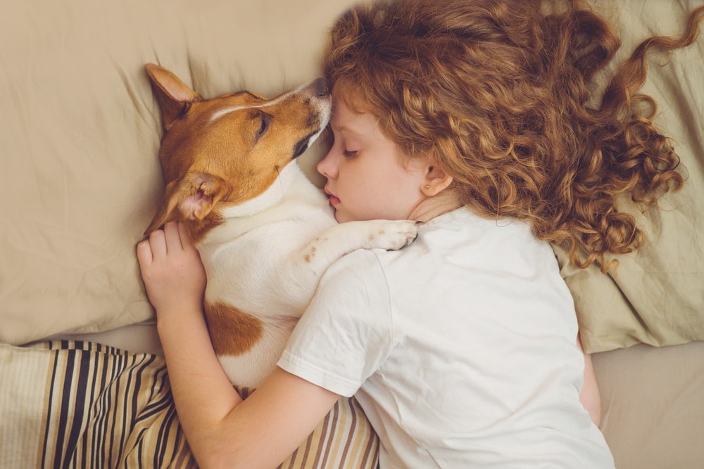 Little girl sleeping with dog in bed