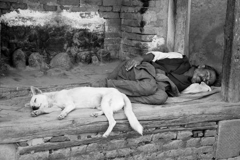 आदमी और कुत्ता फुटपाथ पर सोते हैं