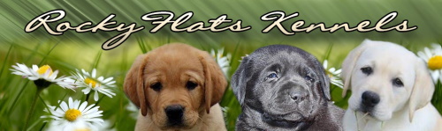 Rocky flats kennels logo