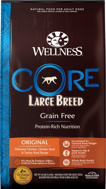 Wellness CORE Grain-Free turkey dry dog food