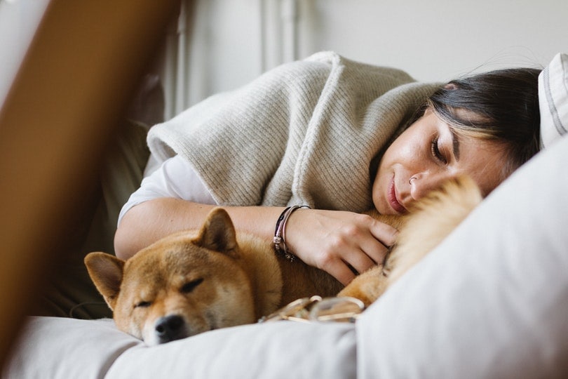 Why Do Dogs Sleep with Their Bum Facing You? (5 Reasons for This Behavior) | Pet Keen