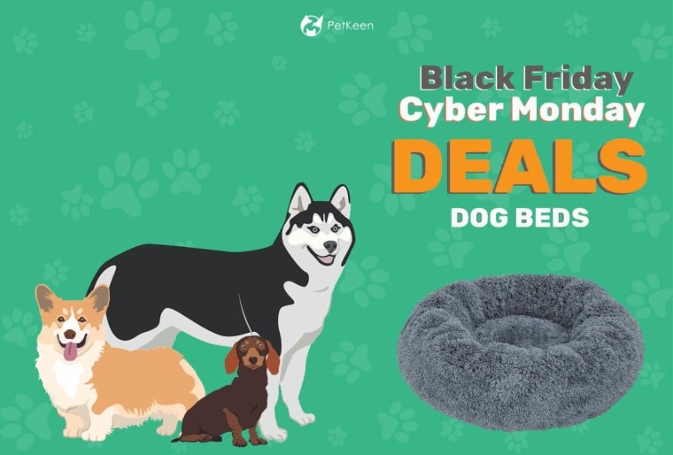 black friday cyber monday dog beds