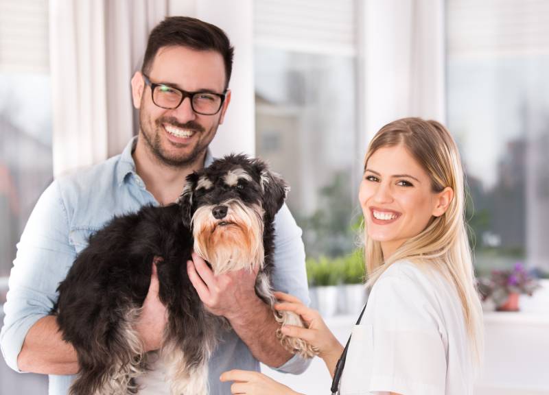 breeder-and-owner-holding-the-miniature-schnauzer-dog