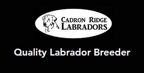 cardon ridge labradors logo