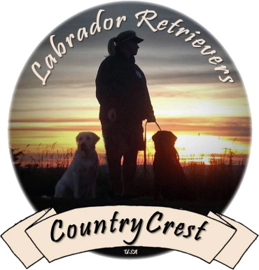 country crest logo