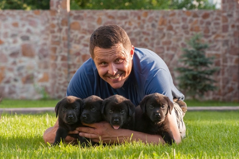 dog breeder with puppies