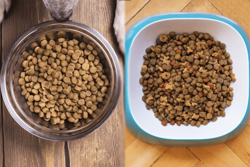 grain vs grain free dog food