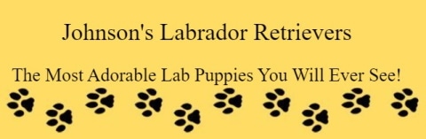 johnson's labrador retriever logo