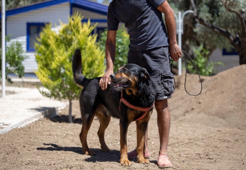 man with his pet rottweiler outside