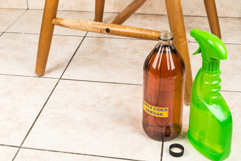 Apple Cider Vinegar as cat repellant