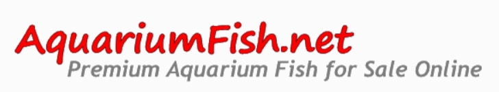 Aquarium Fish, Tropical fish, and Goldfish for Sale Online