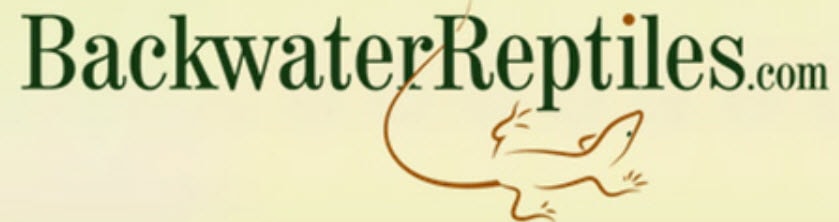 Backwater Reptiles logo