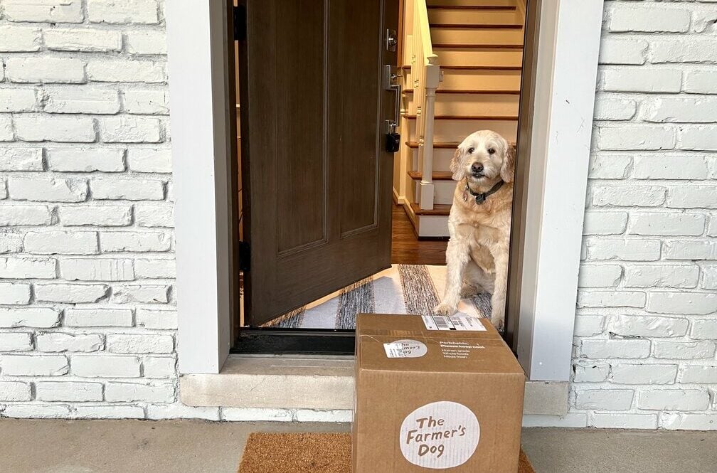 Finny opening the door with the farmers dog delivery
