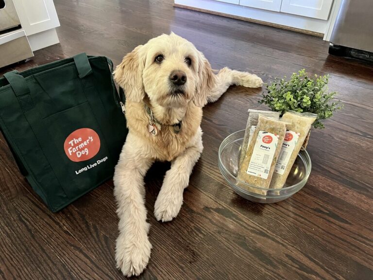 Finny With The Farmers Dog Food 768x576 