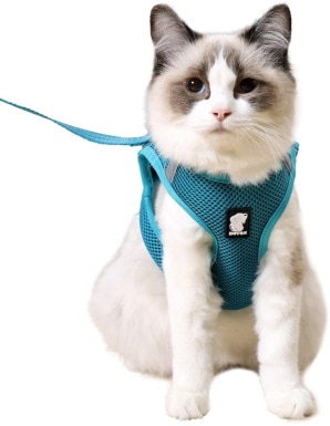 Allispast Soft Mesh Step-in Lightweight Kitten Harness with Comfort Liner and Safety Hook